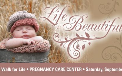 2016 Walk For Life