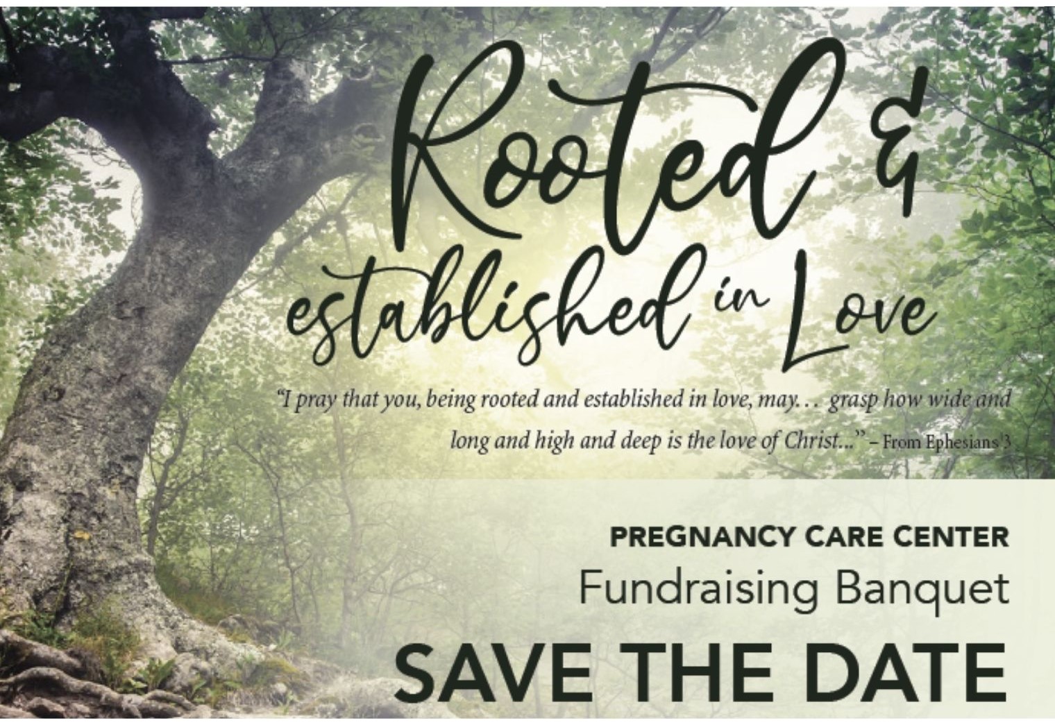 rooted reboot draft
