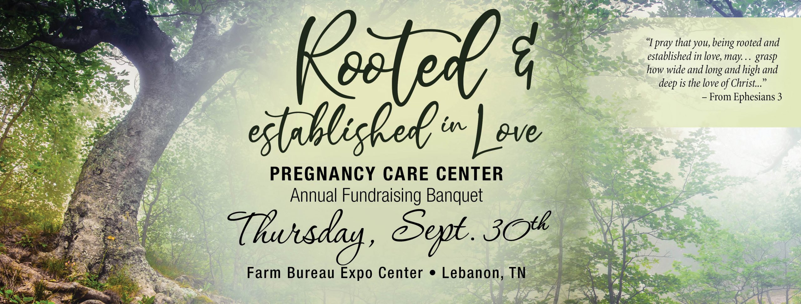 Rooted_FBCover2021